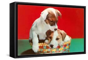Jack Russell Puppies in Basket-null-Framed Stretched Canvas