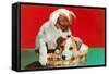 Jack Russell Puppies in Basket-null-Framed Stretched Canvas
