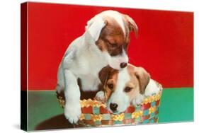 Jack Russell Puppies in Basket-null-Stretched Canvas