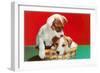 Jack Russell Puppies in Basket-null-Framed Art Print