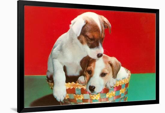 Jack Russell Puppies in Basket-null-Framed Art Print