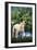 Jack Russell Terrier Bearing its Teeth-DLILLC-Framed Photographic Print