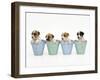 Jack Russell Terrier Dog Puppies in Flowerpots-null-Framed Photographic Print