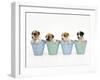 Jack Russell Terrier Dog Puppies in Flowerpots-null-Framed Photographic Print