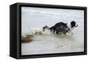 Canvas Black