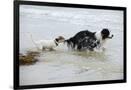 Gramercy Black
