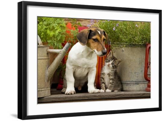 Photographic Print, , large