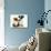 Jack Russell Terrier Puppy, Ruby, 9 Weeks, with Soft Toy Fox-Mark Taylor-Photographic Print displayed on a wall