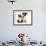 Jack Russell Terrier Puppy, Ruby, 9 Weeks, with Soft Toy Fox-Mark Taylor-Framed Photographic Print displayed on a wall