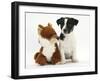 Jack Russell Terrier Puppy, Ruby, 9 Weeks, with Soft Toy Fox-Mark Taylor-Framed Photographic Print