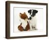 Jack Russell Terrier Puppy, Ruby, 9 Weeks, with Soft Toy Fox-Mark Taylor-Framed Photographic Print