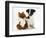 Jack Russell Terrier Puppy, Ruby, 9 Weeks, with Soft Toy Fox-Mark Taylor-Framed Photographic Print