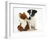 Jack Russell Terrier Puppy, Ruby, 9 Weeks, with Soft Toy Fox-Mark Taylor-Framed Photographic Print