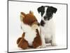 Jack Russell Terrier Puppy, Ruby, 9 Weeks, with Soft Toy Fox-Mark Taylor-Mounted Photographic Print