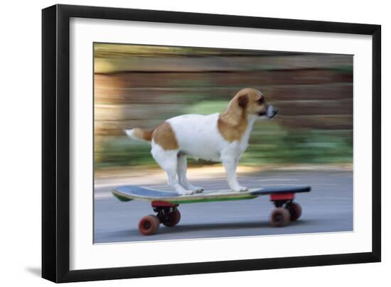 Photographic Print, , large