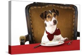 Jack Russell Terrier Wearing Bow Tie Sitting at Table-null-Stretched Canvas