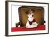 Jack Russell Terrier Wearing Bow Tie Sitting at Table-null-Framed Photographic Print