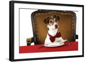 Jack Russell Terrier Wearing Bow Tie Sitting at Table-null-Framed Photographic Print