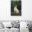 Jack Russell Terrier-DLILLC-Photographic Print displayed on a wall