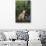 Jack Russell Terrier-DLILLC-Photographic Print displayed on a wall