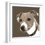 Jack Russell-Emily Burrowes-Framed Giclee Print