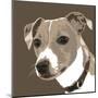 Jack Russell-Emily Burrowes-Mounted Giclee Print