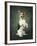 Jack Russell-Blueiris-Framed Photographic Print