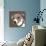 Jack Russell-Emily Burrowes-Art Print displayed on a wall