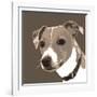 Jack Russell-Emily Burrowes-Framed Art Print