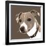 Jack Russell-Emily Burrowes-Framed Art Print