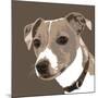 Jack Russell-Emily Burrowes-Mounted Art Print