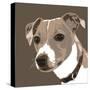 Jack Russell-Emily Burrowes-Stretched Canvas