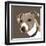 Jack Russell-Emily Burrowes-Framed Art Print