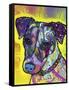 Jack Russell-Dean Russo-Framed Stretched Canvas