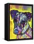 Jack Russell-Dean Russo-Framed Stretched Canvas