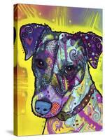 Jack Russell-Dean Russo-Stretched Canvas