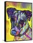 Jack Russell-Dean Russo-Framed Stretched Canvas