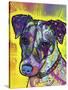 Jack Russell-Dean Russo-Stretched Canvas