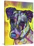 Jack Russell-Dean Russo-Stretched Canvas