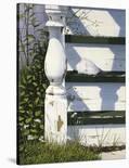 Net House Harbor-Jack Saylor-Stretched Canvas