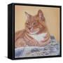 Jack Silk Blanket-Janet Pidoux-Framed Stretched Canvas