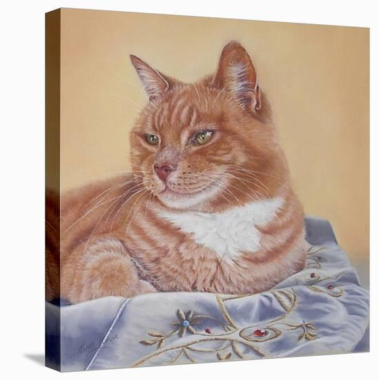 Jack Silk Blanket-Janet Pidoux-Stretched Canvas