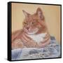 Jack Silk Blanket-Janet Pidoux-Framed Stretched Canvas