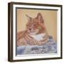 Jack Silk Blanket-Janet Pidoux-Framed Giclee Print