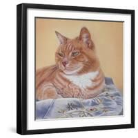 Jack Silk Blanket-Janet Pidoux-Framed Giclee Print