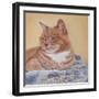 Jack Silk Blanket-Janet Pidoux-Framed Giclee Print