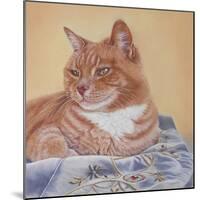 Jack Silk Blanket-Janet Pidoux-Mounted Giclee Print