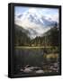 Essential Black
