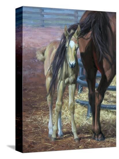 Stretched Canvas Print, , large
