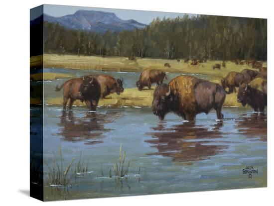 Stretched Canvas Print, , large
